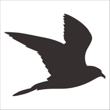 Technopa Kuş Folyo Sticker 94 50 cm Uzunluk
