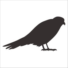 Technopa Kuş Folyo Sticker 95 50 cm Uzunluk