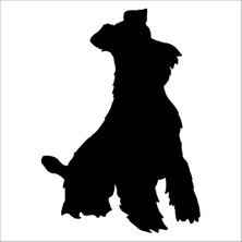 Technopa Köpek  Folyo Sticker 46 160 cm Uzunluk