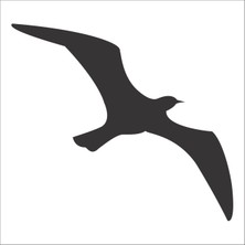 Technopa Kuş Sticker 114 50 cm Uzunluk