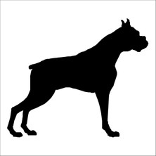 Technopa Köpek Folyo Sticker 65 100 cm Uzunluk