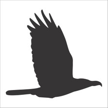 Technopa Kuş Folyo Sticker 99 100 cm Uzunluk