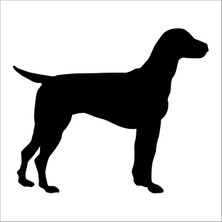 Technopa Köpek Folyo Sticker 49 40 cm Uzunluk