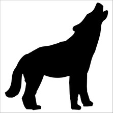 Technopa Köpek Folyo Sticker 66 90  cm Uzunluk