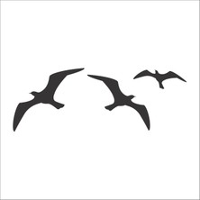 Technopa Kuş Folyo Sticker 117 160 cm Uzunluk