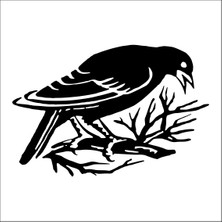 Technopa Kuş  Folyo Sticker 86 60 cm Uzunluk