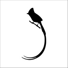 Technopa Kuş Folyo Sticker 73 80 cm Uzunluk