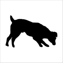 Technopa Köpek Folyo Sticker 59 100 cm Uzunluk