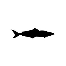 Technopa Balık Folyo Sticker 47 100 cm Uzunluk