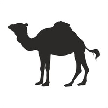 Technopa Deve Folyo Sticker 64 30 cm Uzunluk