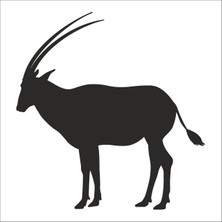 Technopa Geyik Folyo Sticker 99 30 cm Uzunluk