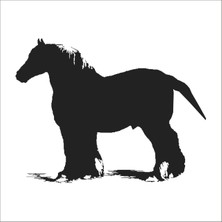 Technopa At Folyo Sticker 15 80 cm Uzunluk