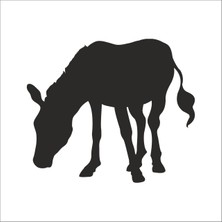 Technopa Eşek  Folyo Sticker 82 80 cm Uzunluk