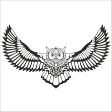 Technopa Baykuş Folyo Sticker 50 20 cm Uzunluk