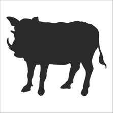 Technopa Domuz Folyo Sticker 67 50 cm Uzunluk