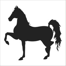 Technopa At Folyo Sticker 35 160 cm Uzunluk