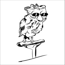 Technopa Baykuş Folyo Sticker 52 60 cm Uzunluk