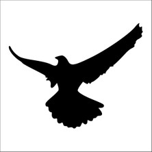 Technopa Kartal  Folyo Sticker 122 100 cm Uzunluk