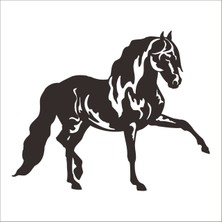 Technopa At Folyo Sticker 22 200 cm Uzunluk