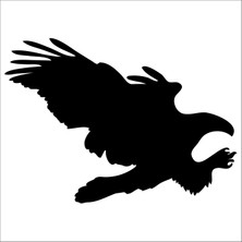 Technopa Kartal Folyo Sticker 133 130 cm Uzunluk