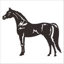 Technopa At Folyo Sticker 23 80 cm Uzunluk