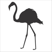 Technopa Filamingo Folyo Sticker 91 80 cm Uzunluk