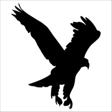 Technopa Kartal Folyo Sticker 125 100 cm Uzunluk