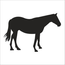 Technopa At  Folyo Sticker 41 40 cm Uzunluk