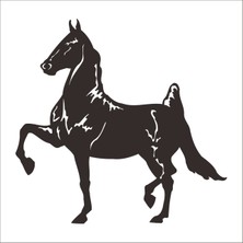 Technopa At Folyo Sticker 27 160 cm Uzunluk