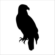 Technopa Kartal  Folyo Sticker 129 130 cm Uzunluk