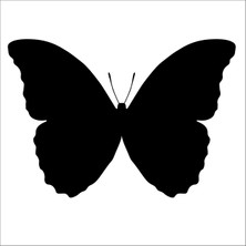 Technopa Kelebek Folyo Sticker 11 90  cm Uzunluk