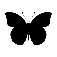 Technopa Kelebek  Folyo Sticker 12 100 cm Uzunluk