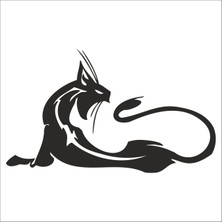 Technopa Kedi Folyo Sticker 176 90  cm Uzunluk