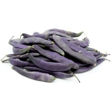 Serdar Çam Tohumculuk Nadir Ithal Mor Fasulye Tohumu Ekim Seti 3 Tohum Fasülye Tohumu Saksı Toprak Kombin