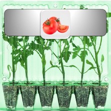 Fide Vadisi Sırık Domates Fidesi (6’lı Ambalaj)