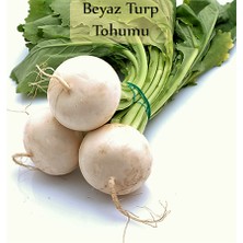 Zencefil Organik Beyaz Turp Tohumu 1 Paket (10GR=1000+ Adet) Turp Tohumu