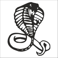 Technopa Cobra Folyo Sticker 58 60 cm Uzunluk