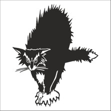 Technopa Kedi Folyo Sticker 193 50 cm Uzunluk