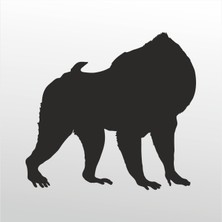 Technopa Folyo Sticker Orangutan 80 cm Uzunluk