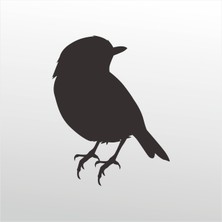 Technopa Folyo Sticker Serçe 103 60 cm Uzunluk