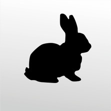 Technopa Folyo Sticker Tavşan 101 130 cm Uzunluk