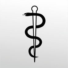 Technopa Folyo Sticker Yılan 60 cm Uzunluk