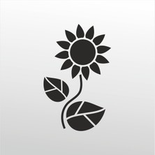 Technopa Folyo Sticker Papatya 121 160 cm Uzunluk