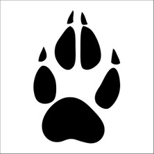 Technopa Pati İzi Folyo Sticker 11 90  cm Uzunluk