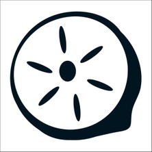 Technopa Limon Folyo Sticker 11 200 cm Uzunluk