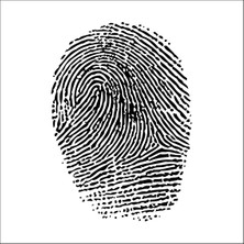 Technopa Parmak İzi Folyo Sticker 18 70 cm Uzunluk