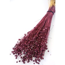 Yapay Çiçek Deposu Kuru Çiçek Luna (Keten) Otu 60gr Mürdüm-Kahve