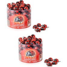 Elvan Lady Bird Kase - 8G.X100 Adet. - 2 Adet