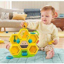 Fisher-Price Eğlenceli Arı Kovanı Gerçek Ahşap Ve Metal Ayrıntılarıyla Para Atma Oyunu Bulunan Aktivite Oyuncağı 9 Ay Ve Üzeri Gjw27
