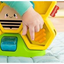 Fisher-Price Eğlenceli Arı Kovanı Gerçek Ahşap Ve Metal Ayrıntılarıyla Para Atma Oyunu Bulunan Aktivite Oyuncağı 9 Ay Ve Üzeri Gjw27